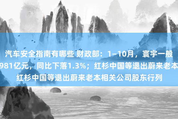 汽车安全指南有哪些 财政部：1—10月，寰宇一般人人预算收入184981亿元，同比下落1.3%；红杉中国等退出蔚来老本相关公司股东行列