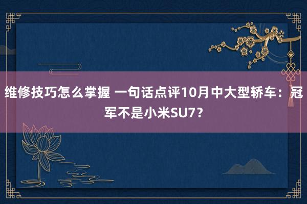 维修技巧怎么掌握 一句话点评10月中大型轿车：冠军不是小米SU7？