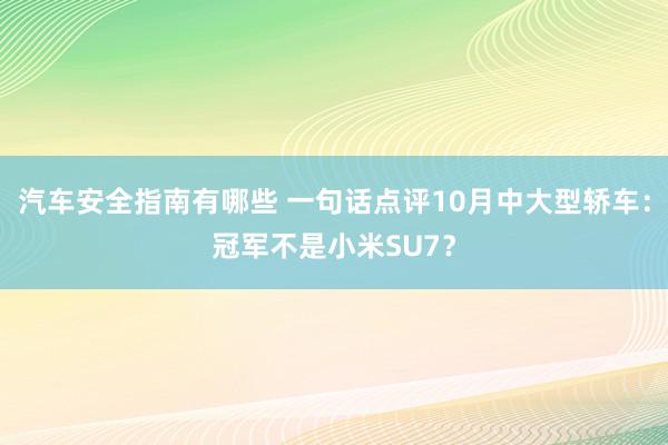 汽车安全指南有哪些 一句话点评10月中大型轿车：冠军不是小米SU7？