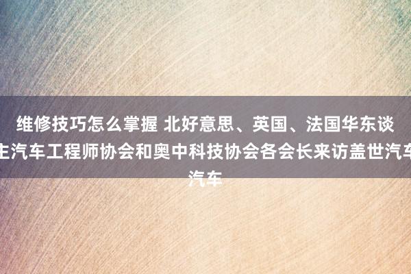 维修技巧怎么掌握 北好意思、英国、法国华东谈主汽车工程师协会和奥中科技协会各会长来访盖世汽车